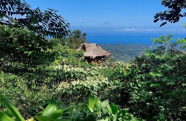 Taorayiná nature reserve