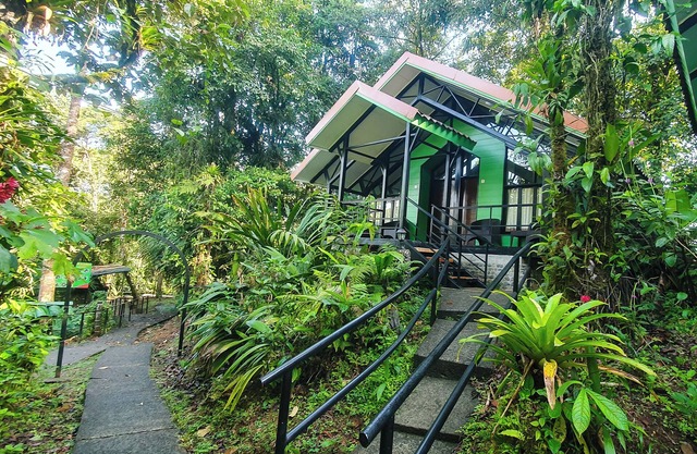 Tapirus Lodge