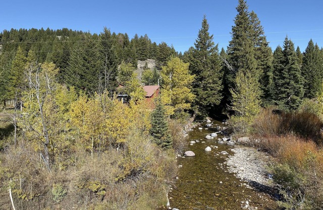 Targhee Creek Cabin por el parque de Yellowstone