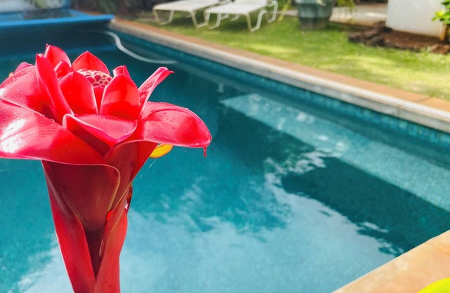 Taro: One of two studios / Secluded pool oasis at Walelia Getaway - South Kaua'i