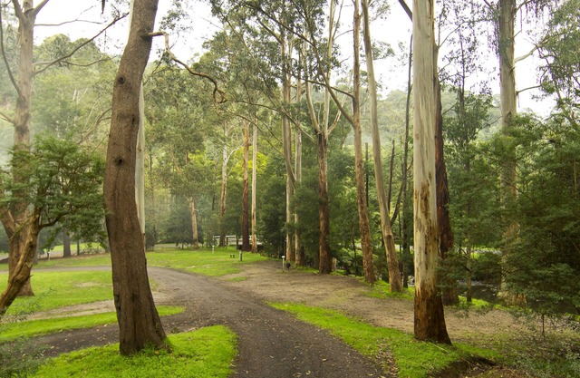 Tarra Valley Retreat
