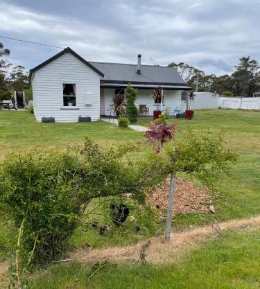 Tassie Shack