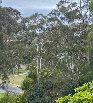 Tathra Views
