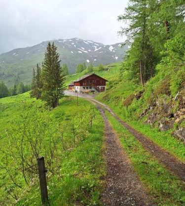 Tauernbergalm