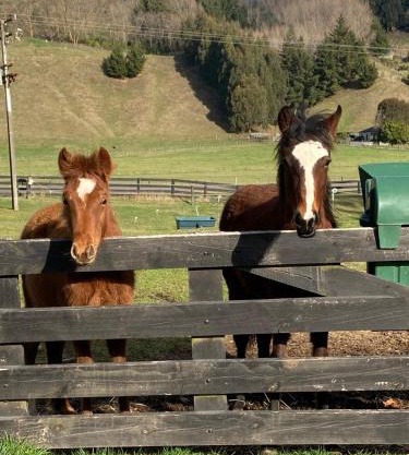 Taupo s best lifestyle vacation