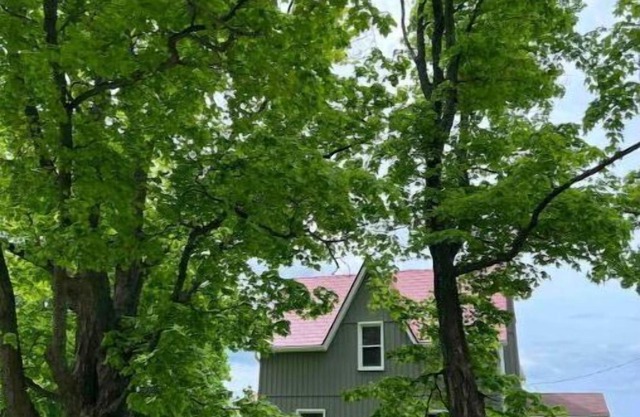 Taylor-Davey Guesthouse (4 bedrooms with ensuites)