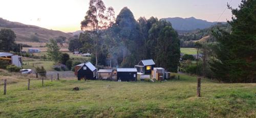 Te Punanga O Te Rangimārie