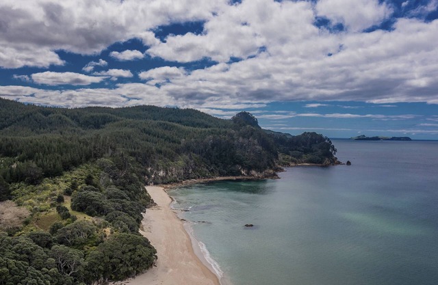 TE WAAHI HONO - ONEMANA HOLIDAY HOME, family friendly in Onemana