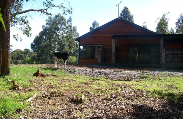Casa de árbol de té un lugar tranquilo para relajarse y descansar