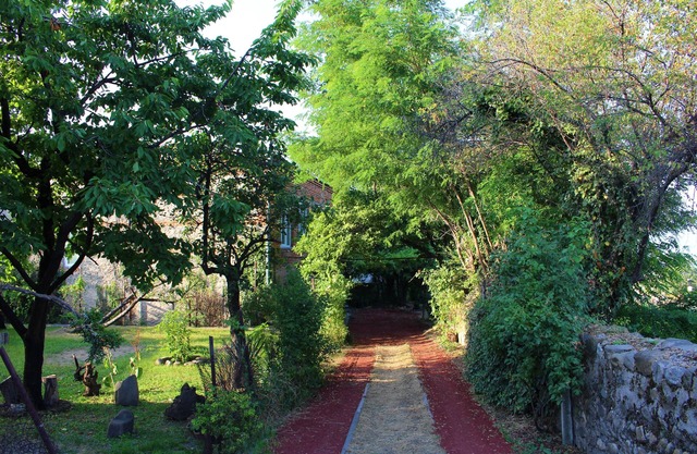 Telavi Inn