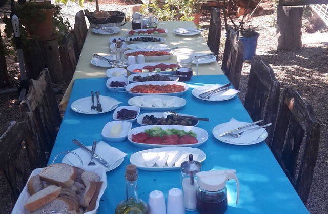 Telemen'in Evi Pansiyon