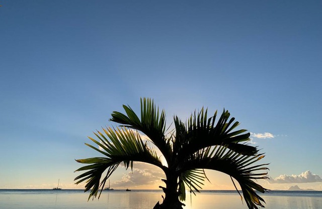 Tenape Sunset
