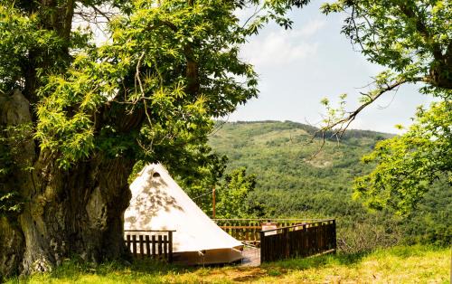 Tenda Glamping vista sulla Valle - Podere di Maggio