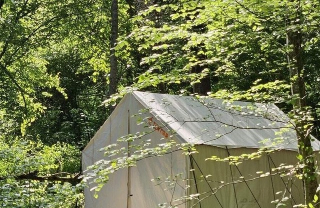Tentrr Signature Site - Creekside Campsite at Silver Creek