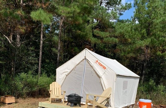 Tentrr Signature Site - HFR Campsite in the Davey Crockett National Forest #3