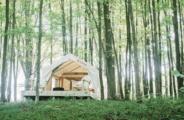 Tentrr - Campamento de árboles huecos