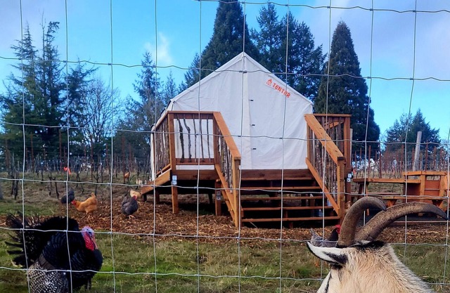 Tentrr Signature Site - Quail Run Vineyard and Farm
