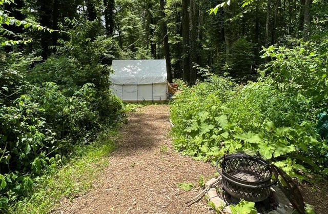Tentrr Signature Site - Summer Haven Campsite