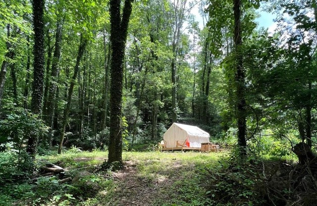 Tentrr Signature Site - Gold Finch Campsite