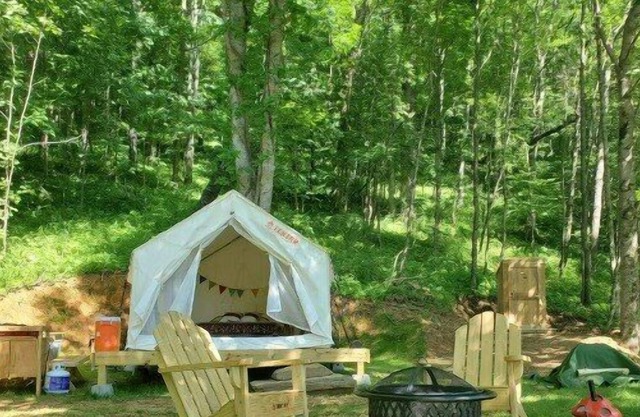 Tentrr Signature Site - Greener Acres Roan Mountain View
