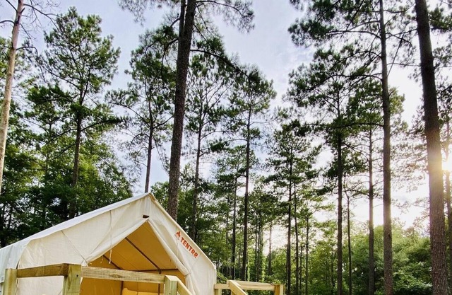 Tentrr State Park Site - Louisiana Bogue Chitto State Park - Gorge Trail O - Sin