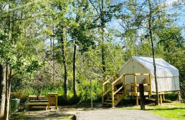 Tentrr State Park Site - Louisiana Tickfaw State Park - Woodland C - Single Camp