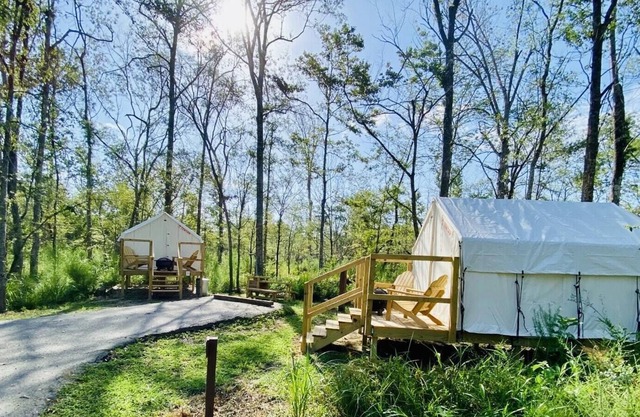 Tentrr State Park Site - Louisiana Tickfaw State Park - Woodland D - Double Camp