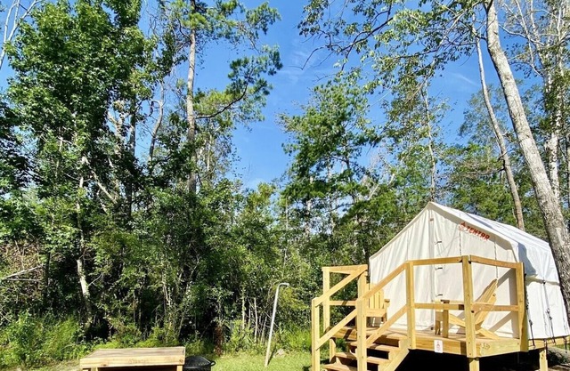 Tentrr State Park Site - Louisiana Tickfaw State Park - Woodland G - Single Camp