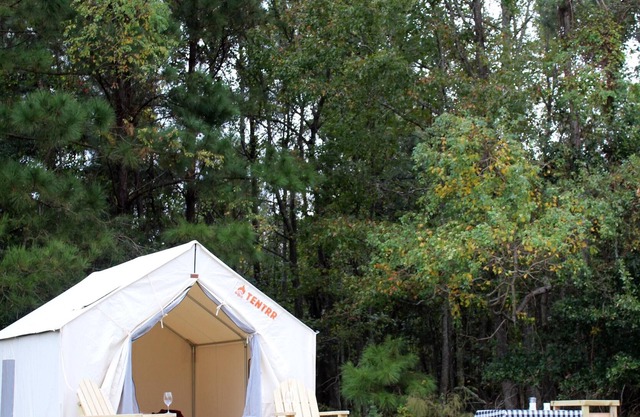 Tentrr State Park Site - Louisiana Fontainebleau State Park - Teepee Field A - S