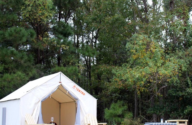 Tentrr State Park Site - Louisiana Fontainebleau State Park - Teepee Field B -