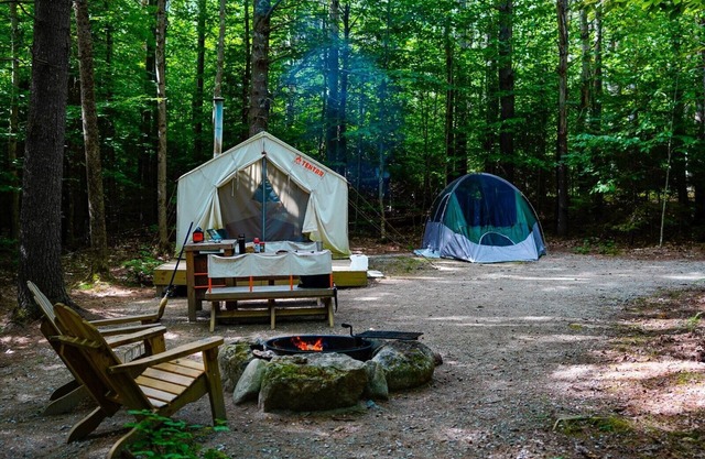 Tentrr State Park Site - Maine Bradbury State Park - Site 1 - Single Camp