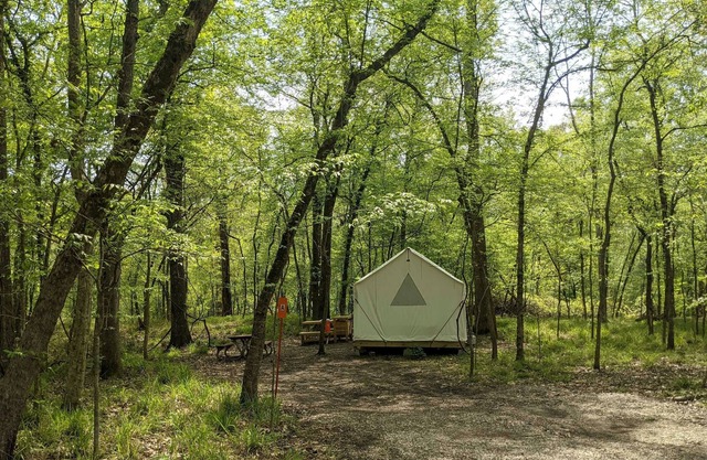 Tentrr State Park Site - Louisiana Chicot State Park - Site A - Single Camp