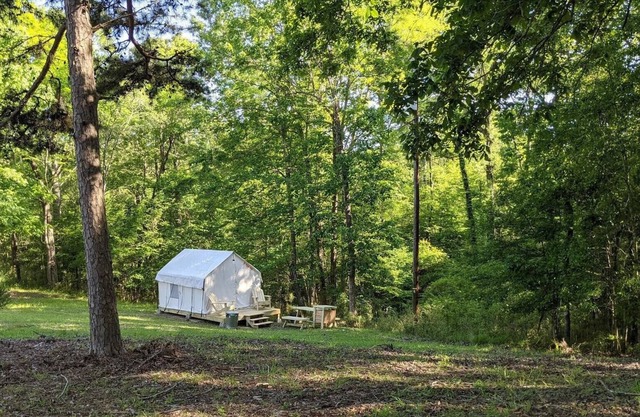 Tentrr State Park Site - Louisiana Chicot State Park - Site H - Single Camp