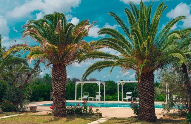Tenuta Afra, masseria with pool, large studio apartment