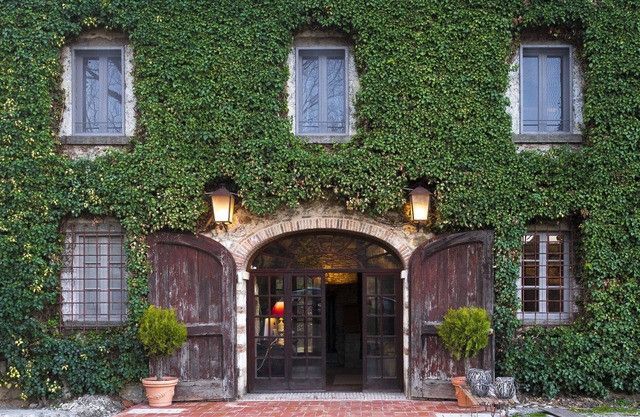 Tenuta CorteDomina