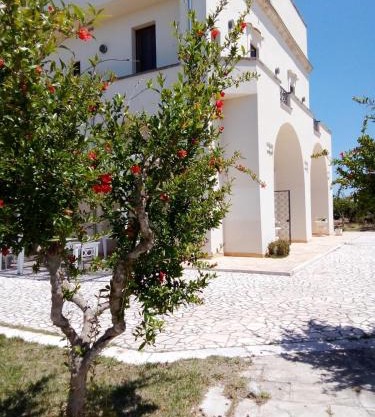 Tenuta degli Agrumi
