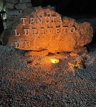 Tenuta L'uliveto