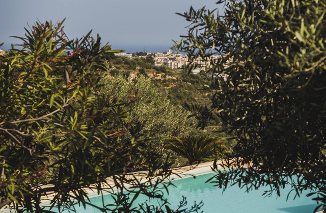 Tenuta Olive Alive