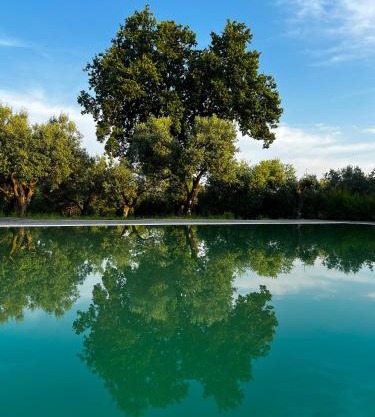 Tenuta Paino