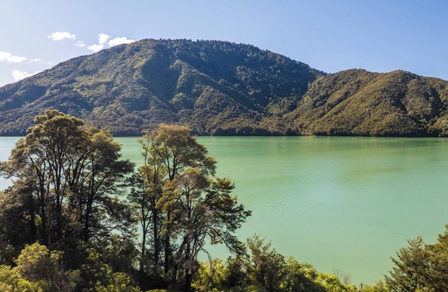 Tepuia Cottage - Havelock Holiday Home