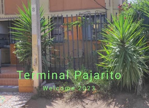 Terminal Pajarito