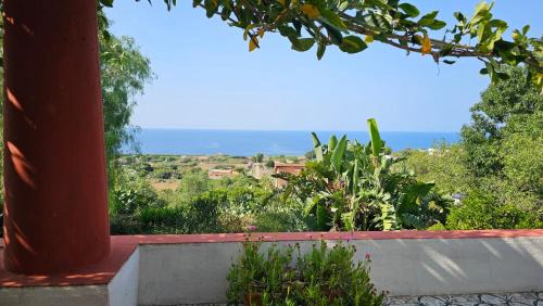 Terranova