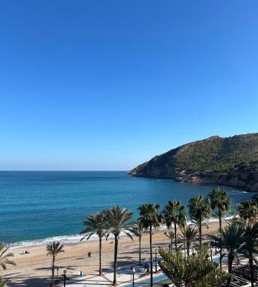 Terraza Albir
