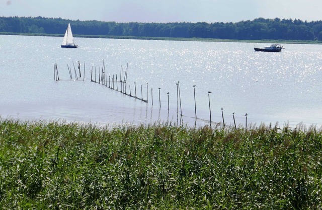 Casa de campo con techo de paja en Quilitz en Usedom - Casa de campo con techo de paja Quilitz