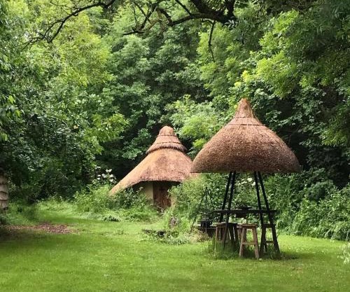 Thatched Roundhouse in Somerset Woodland