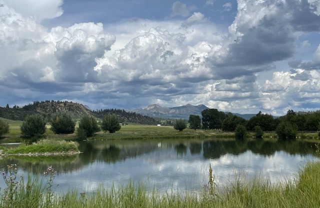 The Adobe ---- remodeled historical adobe cabin on a high country working ranch.