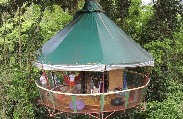 La increíble casa del árbol y Nature Observatorio en Manzanillo, Limón, Costa Rica