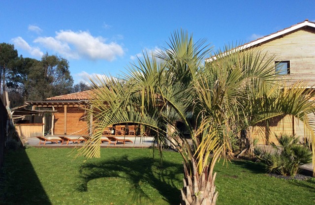 El albaricoquero: Villa, madera flotante, piscina climatizada.