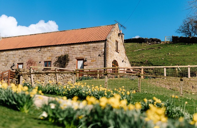 Los arcos, FARNDALE