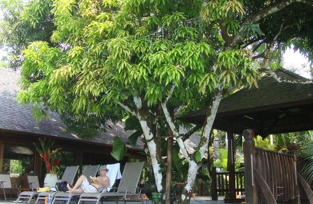 La Casa Bali en la playa, la mejor casa y la mejor ubicación de lejos!